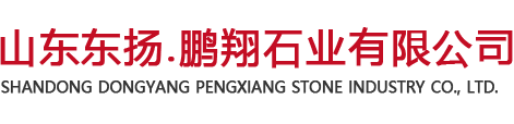 山東東揚.91短视频APP下载安装石業有限公司